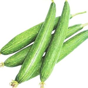 Dhundhul (Sponge Gourd) ±20 gm 500 gm