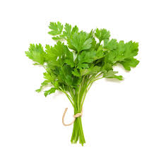 Coriander Leaves (Dhonia Pata) ± 10 gm 100 gm