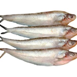 Pabda Fish ±50 gm 1Kg