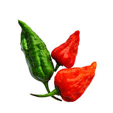 Bombay Chilli 5 pcs